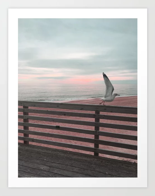 society6 art print of a seagull